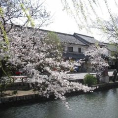 APA Hotel Kurashiki Ekimae фото 4