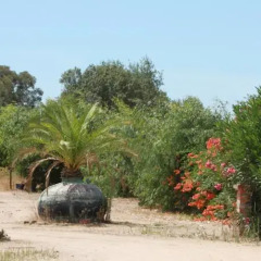 Отель Quinta da Azervada de Cima фото 3