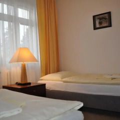Hotel Svornost 3* Люкс с различными типами кроватей фото 14