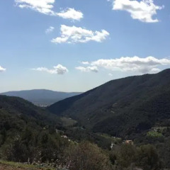 Отель El Porxo De Can Baixeres Монсени