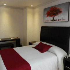Hotel Roma Guadalajara 3* Стандартный номер с различными типами кроватей фото 2