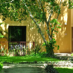 Отель Hacienda Misne 4* Улучшенный номер с различными типами кроватей