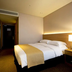 The Summit Hotel Seoul Dongdaemun 3* Стандартный номер с двуспальной кроватью фото 4