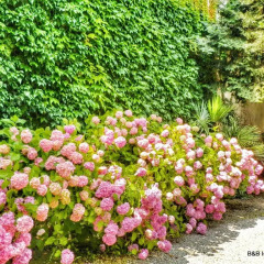 Отель B&B Isola Memmia Италия, Падуя - отзывы, цены и фото номеров - забронировать отель B&B Isola Memmia онлайн фото 3