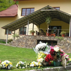 Гостиница Дубки