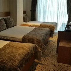 Dies Hotel 4* Стандартный номер с различными типами кроватей фото 9
