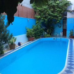 Отель 18 NBK house Вьетнам, Вунгтау - отзывы, цены и фото номеров - забронировать отель 18 NBK house онлайн бассейн фото 3