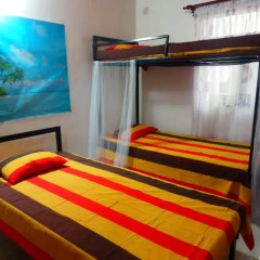 New negombo beach hostel Кровать в общем номере с двухъярусной кроватью