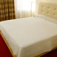 Hotel Capitol 4* Стандартный номер с различными типами кроватей фото 2