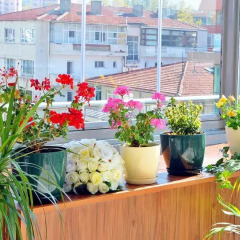 CK Farabi Hotel Турция, Анкара - отзывы, цены и фото номеров - забронировать отель CK Farabi Hotel онлайн