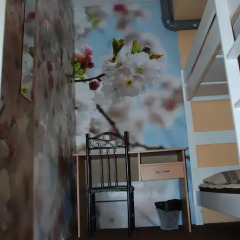 Отель Marine Keskus Стандартный номер с двухъярусной кроватью фото 7