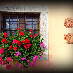 Отель Agriturismo Borgovecchio Стандартный номер