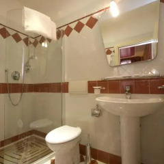 Hotel Alcyone 3* Стандартный номер с различными типами кроватей фото 5