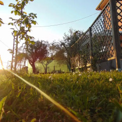 Отель Casa Vacanze I Limoni Сарцана фото 7