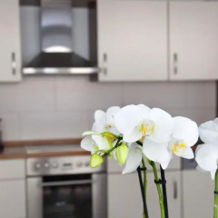 Отель Domapartment Cologne City Altstadt в номере фото 2