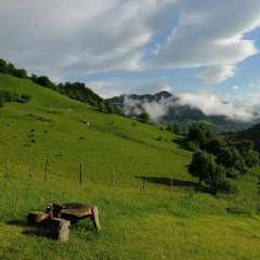 Отель Homestay Süllü Dağ Evi Гиресун