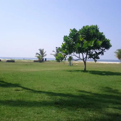 Отель Sasika Beach Resort Шри-Ланка, Берувела - отзывы, цены и фото номеров - забронировать отель Sasika Beach Resort онлайн фото 3