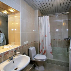 Park-Hotel Pushkin 3* Студия с различными типами кроватей фото 3