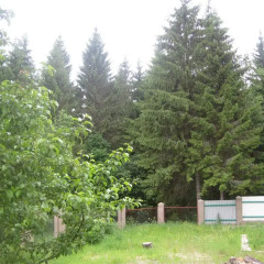 Гостиница Country house Runskiy