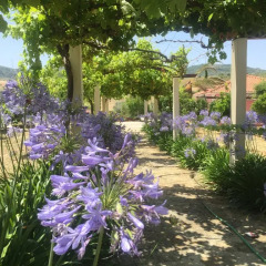 Отель Quinta De Santa Maria D' Arruda фото 11
