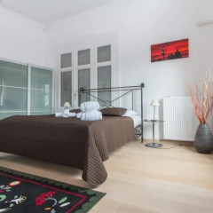 Отель Butterfly Home Danube 3* Номер Делюкс с различными типами кроватей фото 10