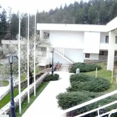 Отель Park Hotel Panorama Болгария, Боженци - отзывы, цены и фото номеров - забронировать отель Park Hotel Panorama онлайн фото 2