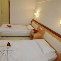 Swans 1 Hotel 2* Стандартный номер фото 5