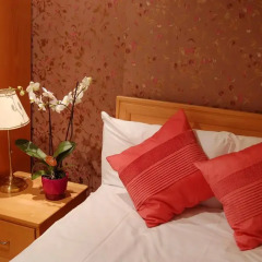 The Brighton Hotel 3* Стандартный номер с разными типами кроватей фото 2
