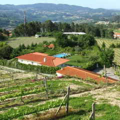Отель Quinta do Pinheiral спортивное сооружение
