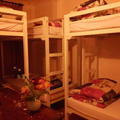 Tiny Tigers Hostel Кровать в общем номере с двухъярусной кроватью фото 3