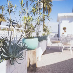 Отель Beverly Terrace США, Беверли Хиллс - 2 отзыва об отеле, цены и фото номеров - забронировать отель Beverly Terrace онлайн бассейн фото 3