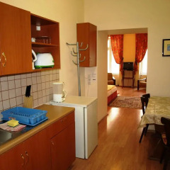Апартаменты Pension Liechtenstein Apartments Ii Вена в номере фото 3