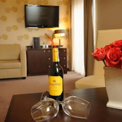 Hotel & Spa Biały Dom удобства в номере