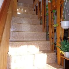 Отель Family Hotel Ecorelax Болгария, Боровец - отзывы, цены и фото номеров - забронировать отель Family Hotel Ecorelax онлайн интерьер отеля фото 2