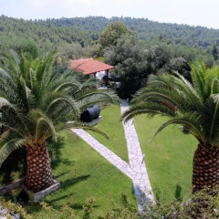 Отель Panorama House Греция, Ситония - отзывы, цены и фото номеров - забронировать отель Panorama House онлайн фото 13