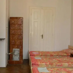 Gold Lion Hostel комната для гостей фото 4