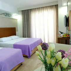 Отель PGS Rose Residence Beach - All Inclusive 5* Стандартный номер с различными типами кроватей