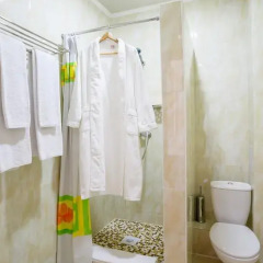 Гостиница Brown Hotel Казахстан, Нур-Султан - 4 отзыва об отеле, цены и фото номеров - забронировать гостиницу Brown Hotel онлайн ванная фото 2