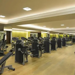 Отель Hilton Capital Grand Abu Dhabi ОАЭ, Абу-Даби - отзывы, цены и фото номеров - забронировать отель Hilton Capital Grand Abu Dhabi онлайн фитнесс-зал фото 3