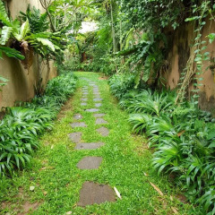 Отель Highbury Colombo Шри-Ланка, Коломбо - отзывы, цены и фото номеров - забронировать отель Highbury Colombo онлайн приотельная территория