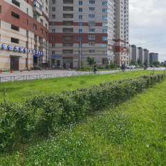 Отель Flathome24 Metro Komendanskiy Prospect Санкт-Петербург