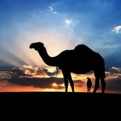 Отель Merzouga Desert Марокко, Мерзуга - отзывы, цены и фото номеров - забронировать отель Merzouga Desert онлайн фитнесс-зал фото 3
