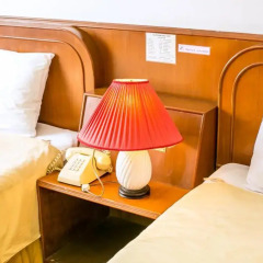 Elizabeth Hotel в номере