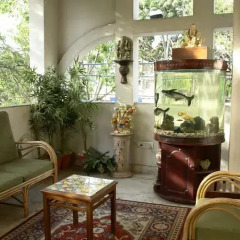Отель Cedar Court Bed and Breakfast интерьер отеля