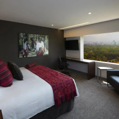 Отель InterContinental Presidente Mexico City детские мероприятия