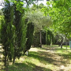 Отель Camping Ampurdanés Бунгало фото 4