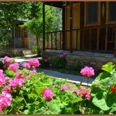 Montenegro Motel Стандартный номер с различными типами кроватей фото 5
