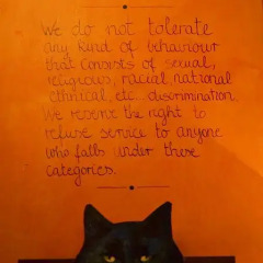 Stray Cat Hostel Кровать в общем номере двухъярусные кровати фото 4