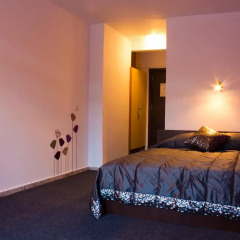 Party Hotel Vladislav - Adults Only 3* Стандартный номер с различными типами кроватей фото 2