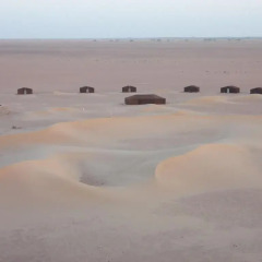 Отель Bivouac Draa Марокко, Загора - отзывы, цены и фото номеров - забронировать отель Bivouac Draa онлайн пляж
